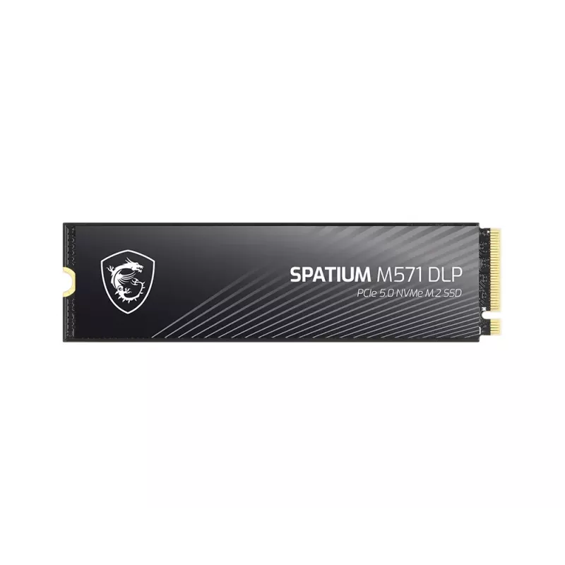 MSI SPATIUM M571 DLP PCIe 5.0 NVMe M.2 4TB vidinis kietasis diskas 4 TB PCI Express 5.0 3D NAND