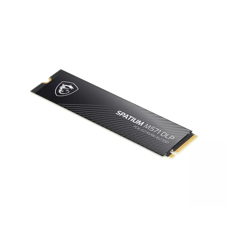 MSI SPATIUM M571 DLP PCIe 5.0 NVMe M.2 4TB vidinis kietasis diskas 4 TB PCI Express 5.0 3D NAND