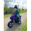 Elektrinis vaikiškas motociklas HUFFY 17345W