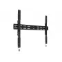 Multibrackets M Universal Wallmount Fixed X Large – fiksuotas sieninis laikiklis televizoriams 42–90 colių, VESA 100x100–800x600 mm, 75 kg