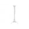 Lubinis laikiklis Multibrackets M Universal Projector Mount I