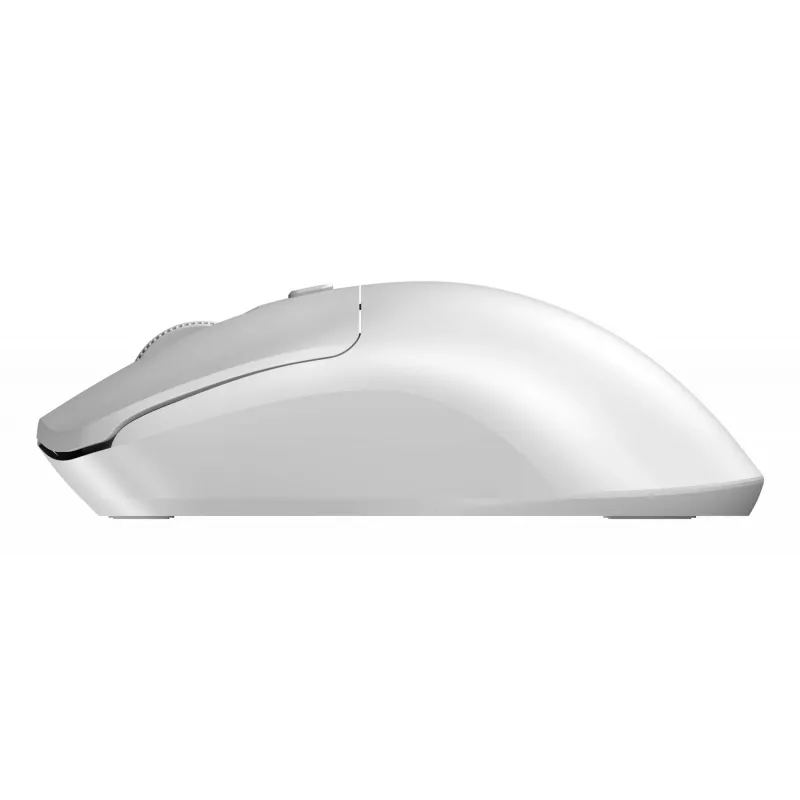 Sandberg Wireless Mouse Saver White, ambidekstrinė, RF belaidė, 1600 DPI, balta