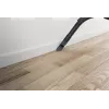 Cikloninis dulkių siurblys Hoover HP105HM 011, 700 W, be maišelio, 2 l