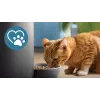 Automatinis gyvūnų šėrimo aparatas Philips 5000 serija PAW5320/02 su kamera, 4,5 L maisto ir vandens talpa, plastikinis korpusas, naudojimui patalpose