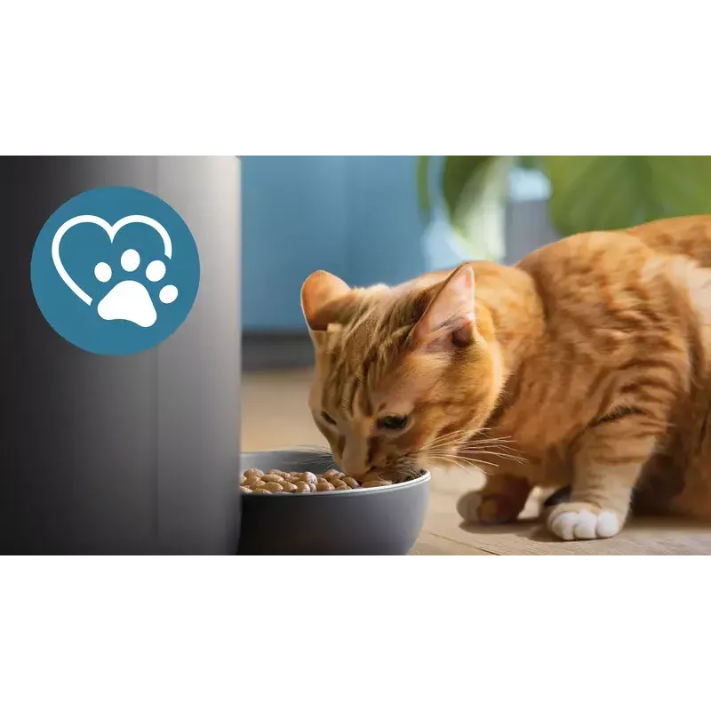 Automatinis gyvūnų šėrimo aparatas Philips 5000 serija PAW5320/02 su kamera, 4,5 L maisto ir vandens talpa, plastikinis korpusas, naudojimui patalpose
