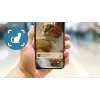 Automatinis gyvūnų šėrimo aparatas Philips 5000 serija PAW5320/02 su kamera, 4,5 L maisto ir vandens talpa, plastikinis korpusas, naudojimui patalpose