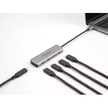 DeLOCK USB 3.2 Gen 1 4 prievadų USB-C šakotuvas, metalinis, pilkas
