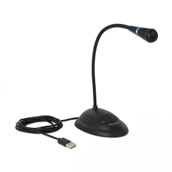 Stalinis USB mikrofonas DeLOCK 65871