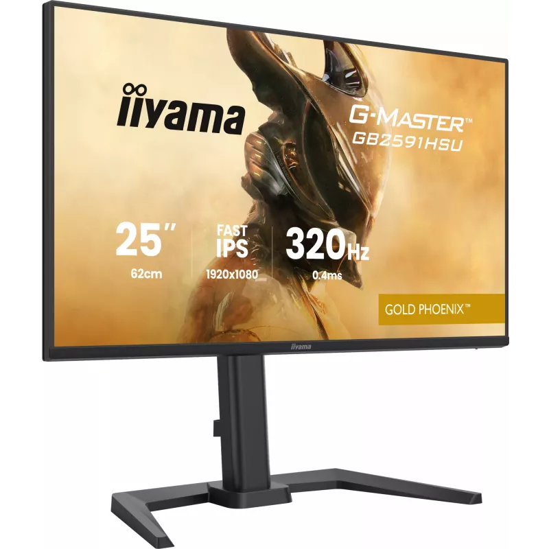 Žaidimų monitorius IIYAMA G-Master GB2591HSU-B1 24.5 colio (68.6 cm) Full HD — HDMI/DisplayPort/USB, juodas
