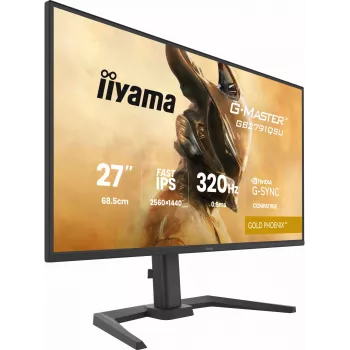 Žaidimų monitorius IIYAMA GB2791QSU-B1 27 colių (68.6 cm) QHD su HDMI, DisplayPort ir USB, juodas