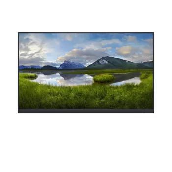 DELL P2422H_WOST 23,8 colių Full HD LCD monitorius, juodas