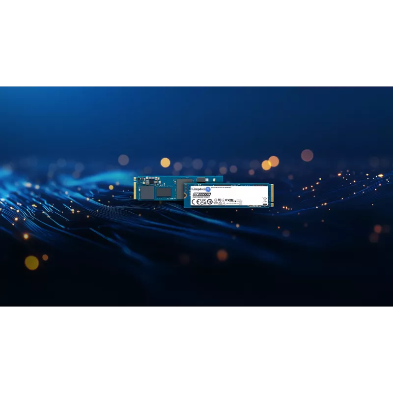 Kingston Technology 240GB DC2000B PCIe 4.0 M.2 2280 Enterprise SSD (be radiatoriaus)