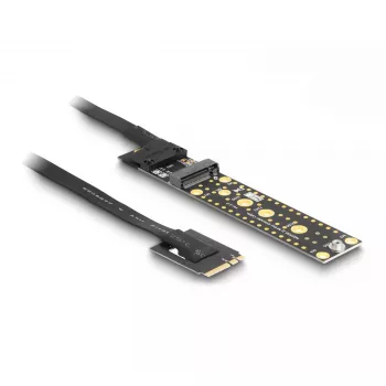 DeLOCK Riser Card NVMe M.2 Key A+E vyriškas į Key M lizdą 20 cm laidas