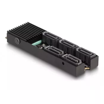 DeLOCK keitiklis M.2 2280 Key B+M (vyriškas) į 5 x SATA su radiatoriumi