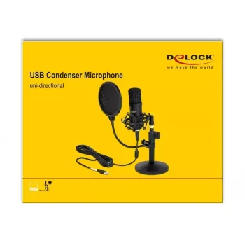 Mikrofonas DeLOCK 66300 USB kondensatorinis
