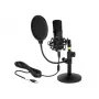Mikrofonas DeLOCK 66300 USB kondensatorinis
