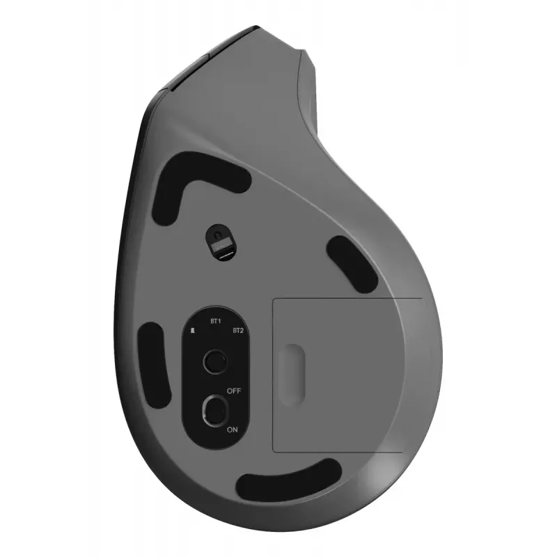 Pelė Rapoo EV310M RF belaidė + Bluetooth