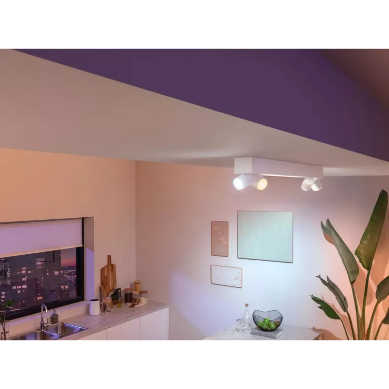 Philips Hue White and colour ambience Centris 4 taškų lubinis šviestuvas