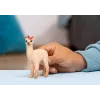 Schleich BAYALA Llamos Vienaragio Kūdikis, ruda, nuo 5 metų