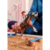 Schleich HORSE CLUB Hannah's Western Adventures žaidimo rinkinys
