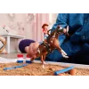 Schleich HORSE CLUB Hannah's Western Adventures žaidimo rinkinys