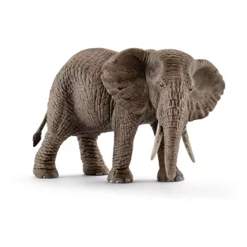 Schleich WILD LIFE Afrikos dramblys, patelė