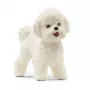Schleich Bichon Frise – Figūrėlė, Baltas, Plastikas, Nuo 3 m.
