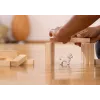 Schleich Bichon Frise – Figūrėlė, Baltas, Plastikas, Nuo 3 m.
