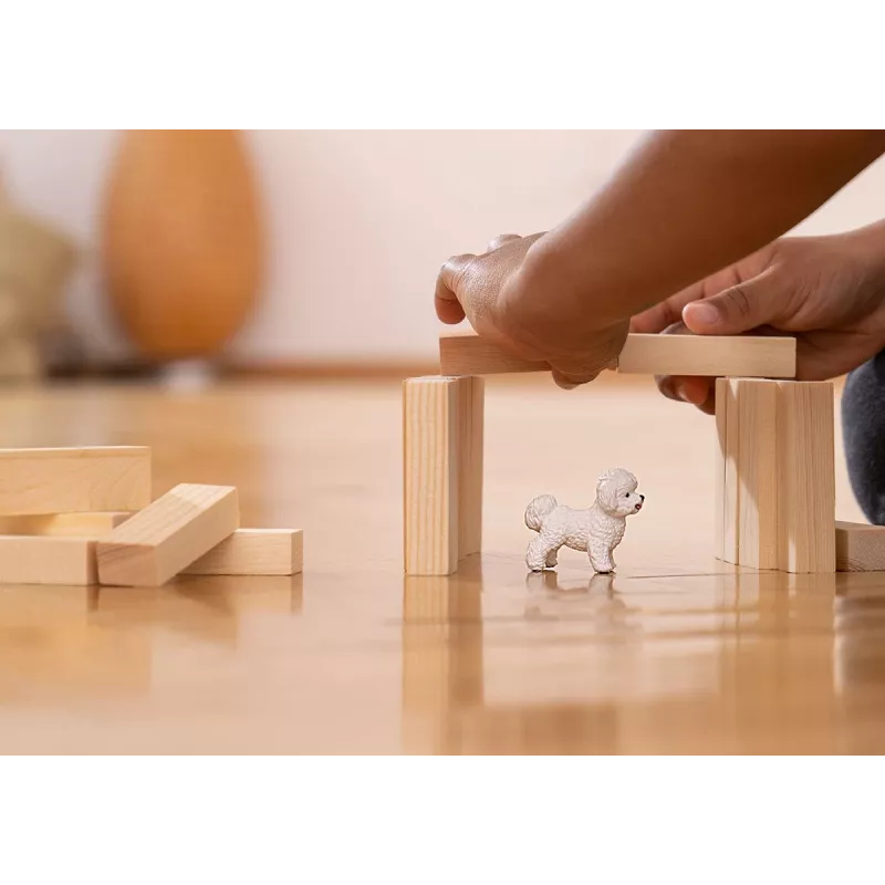 Schleich Bichon Frise – Figūrėlė, Baltas, Plastikas, Nuo 3 m.
