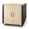 APC NetShelter Soundproof 12U server spinta, klevo spalvos