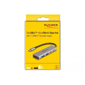 DeLOCK USB Hub 5 Gbps 2 prievadai USB Type-C ir 2 prievadai Type-A pilkas metalinis