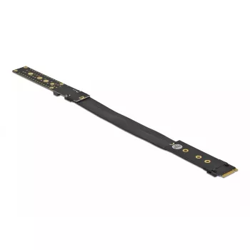 Riser kortelė M.2 Key M DeLOCK 64136