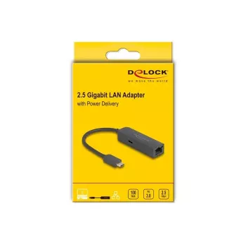 DeLOCK USB Type-C adapteris 2,5 Gigabit LAN su Power Delivery 100 W