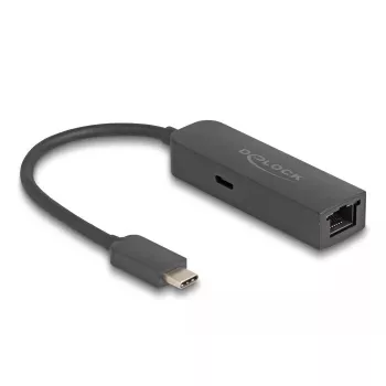 DeLOCK USB Type-C adapteris 2,5 Gigabit LAN su Power Delivery 100 W