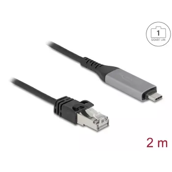 USB Type-C į RJ45 Gigabit Ethernet laidas DELOCK 2 m Cat6 Antracitas/Juodas
