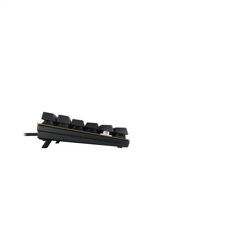 Mechaninė klaviatūra Cherry KC 200 MX USB QWERTY 108 klavišų Juoda Bronzinė