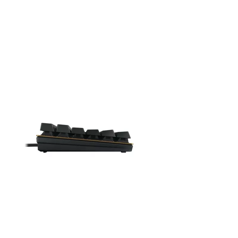 Mechaninė klaviatūra Cherry KC 200 MX USB QWERTY 108 klavišų Juoda Bronzinė