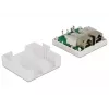 Išvadų dėžutė RJ-45 DeLOCK 86269