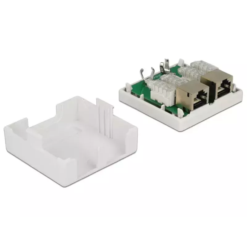 Išvadų dėžutė RJ-45 DeLOCK 86269