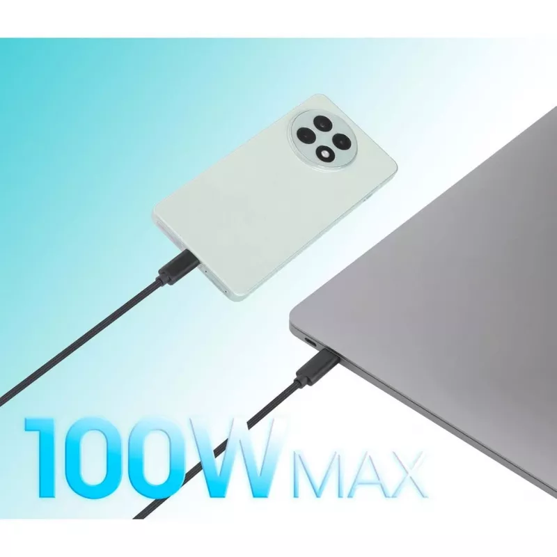 Manhattan Dual USB-C į USB-C įkrovimo laidas, 100W, 2m, vyriškas į du vyriškus, išmanusis galios daliklis