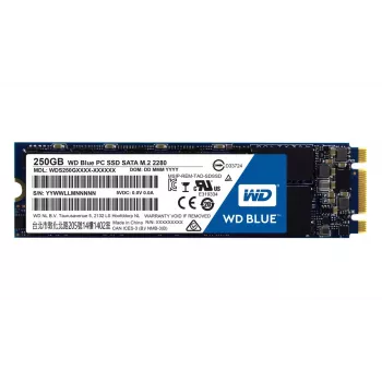 SSD diskas Western Digital 250 GB 2,5 colio SATA3 WDS250G1B0B