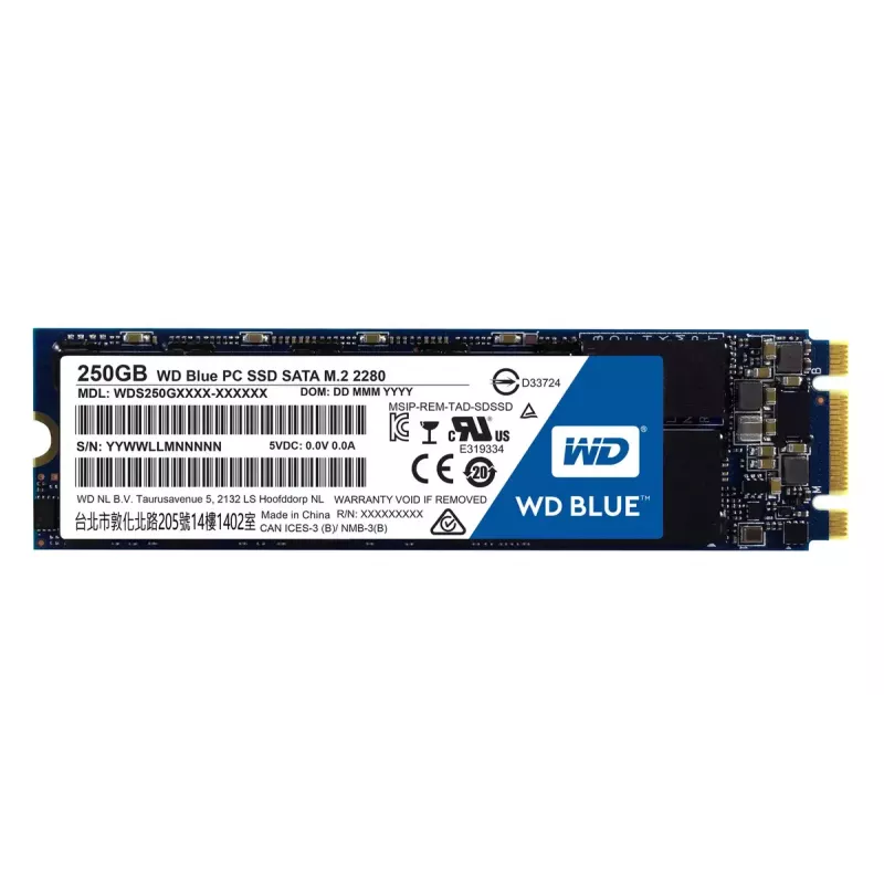 SSD diskas Western Digital 250 GB 2,5 colio SATA3 WDS250G1B0B