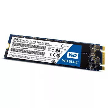 SSD diskas Western Digital 250 GB 2,5 colio SATA3 WDS250G1B0B