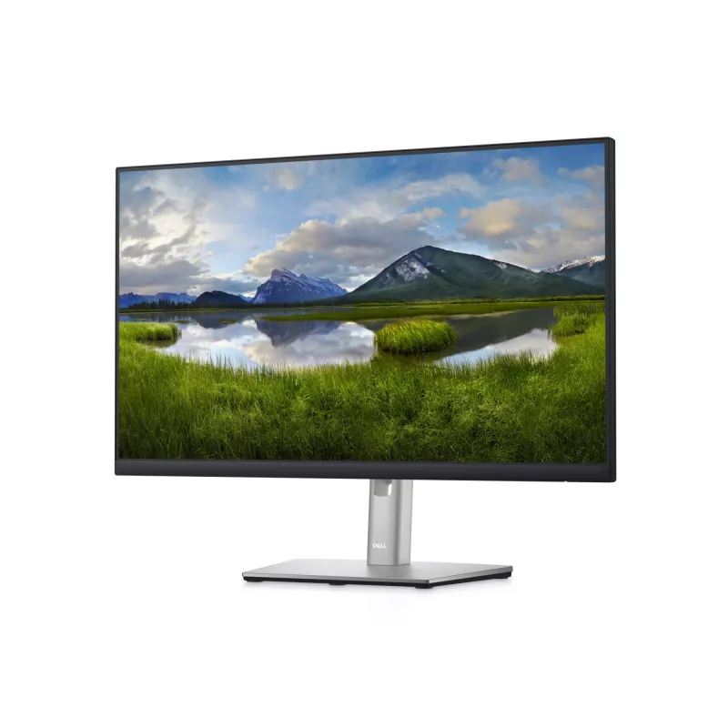 DELL P2422HE 23.8 colių Full HD USB-C įcentrinis monitorius, LCD, 8 ms, juodas
