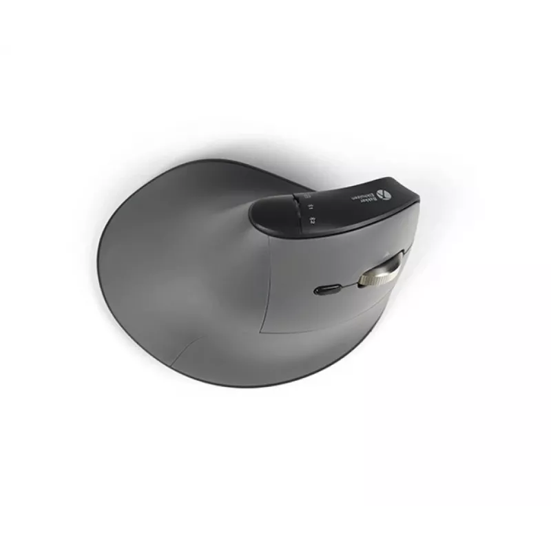 BakkerElkhuizen FastForward Pro pelė, dešinei rankai, vertikalus dizainas, optinė, RF belaidis + Bluetooth + USB Type-C, 5000 DPI, juoda, pilka