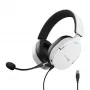 Trust GXT 490 FAYZO ausinės su mikrofonu, laidinės, USB-A, juodos/baltos