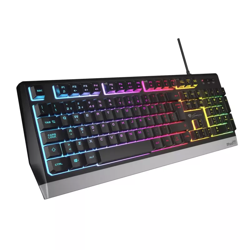 GENESIS NKG-1817 žaidimų klaviatūra USB QWERTY pilno dydžio laidinė