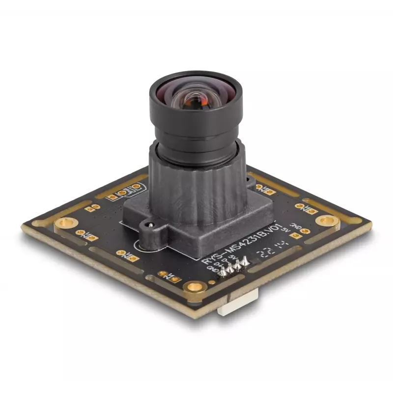 Web kamera DeLOCK 12069 2,1 MP 1920 x 1080 pikselių USB 2.0 Juoda
