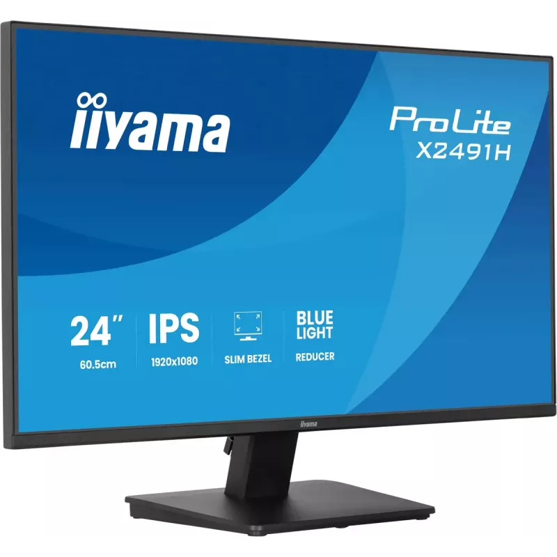Monitorius IIYAMA ProLite X2491H-B1 23.8 col. (60,5 cm) IPS LCD Full HD 1920×1080 matinis juodas, VESA