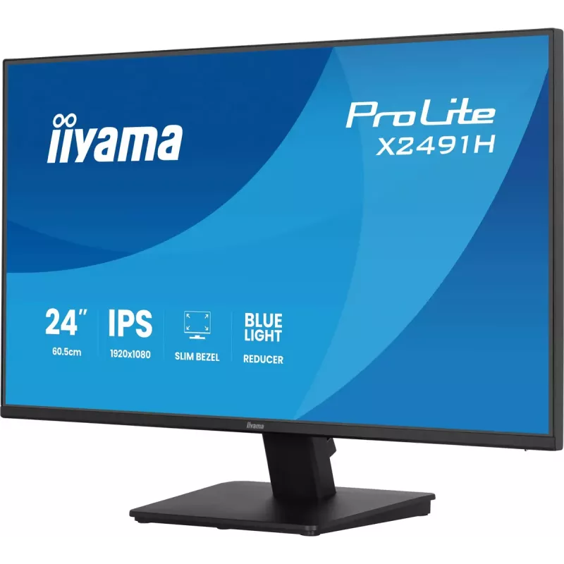 Monitorius IIYAMA ProLite X2491H-B1 23.8 col. (60,5 cm) IPS LCD Full HD 1920×1080 matinis juodas, VESA